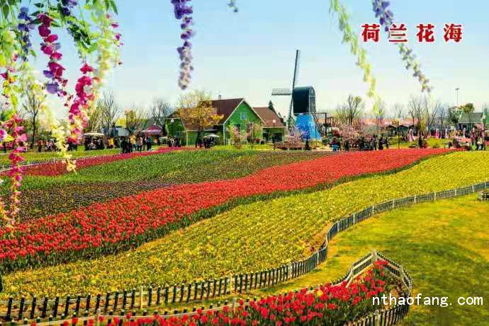 微信圖片_20201204140621