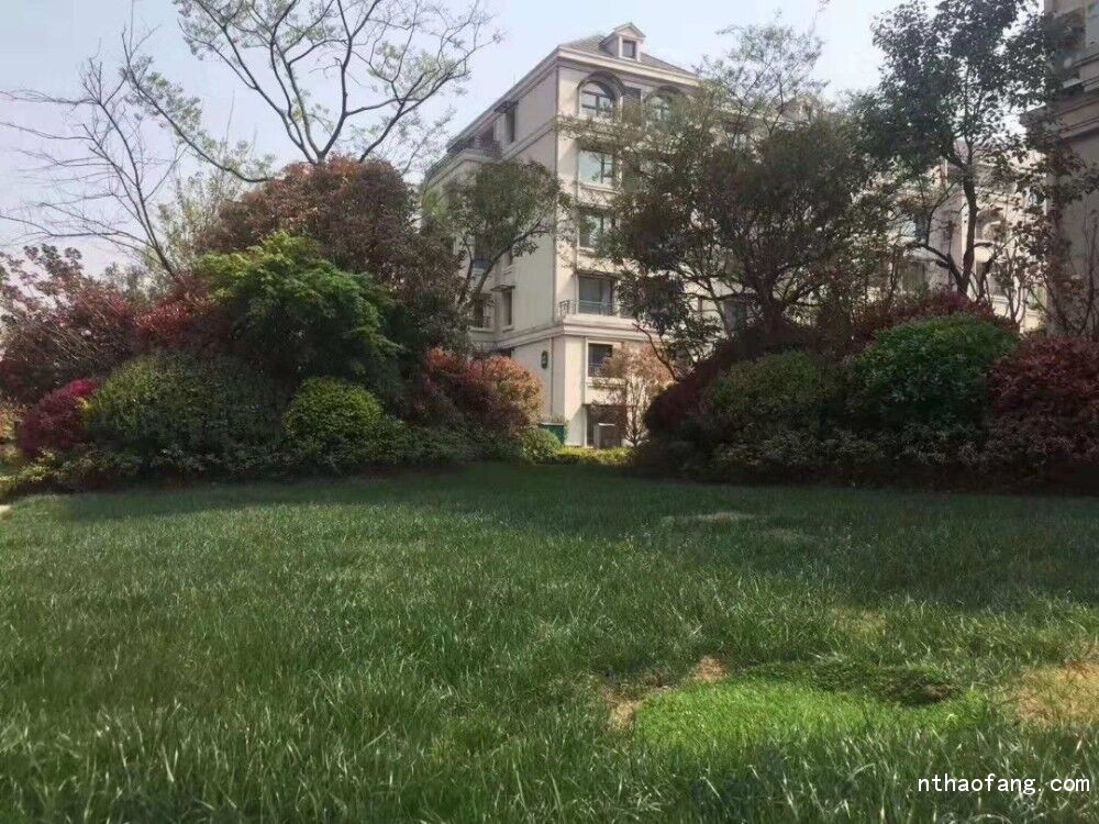 如皋中交美廬城 