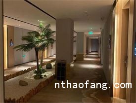 中房海夢城公寓 